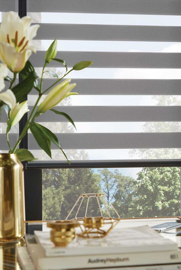 Vision Blind kitchen
